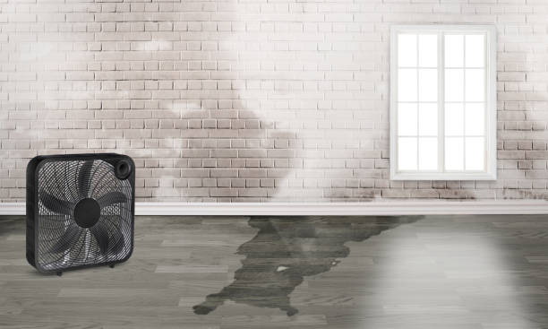 Best Water damage contractors near me  in Columbia, MD