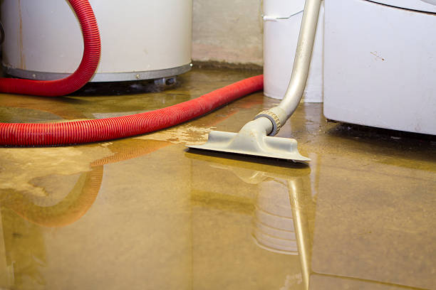 Best Basement water damage restoration  in Columbia, MD